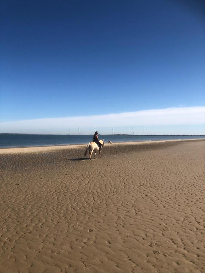 Dorpsdijk 49, Vrouwenpolder Vakantie Esterno foto