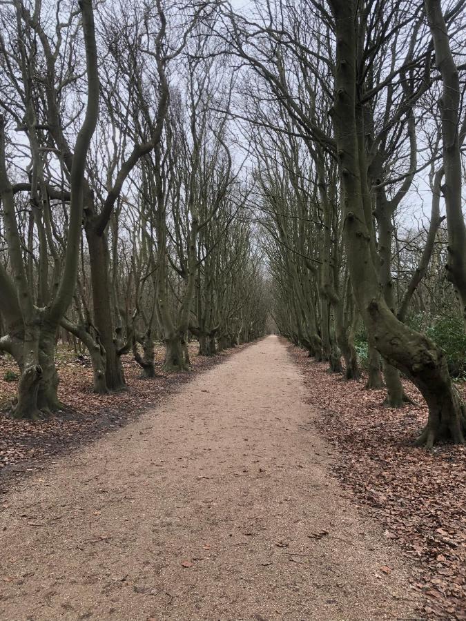 Dorpsdijk 49, Vrouwenpolder Vakantie Esterno foto