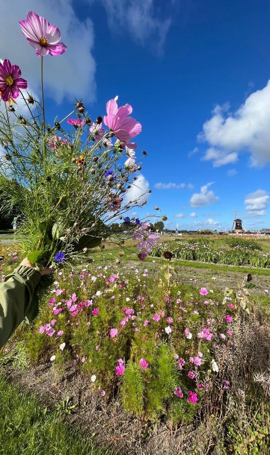 Dorpsdijk 49, Vrouwenpolder Vakantie Esterno foto